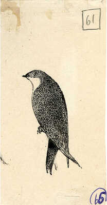 Курдов Валентин Иванович. Лот из восьми иллюстраций к повести В. Бианки, закрепленных на одном паспарту 